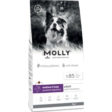 Molly Medium Adult Kuzu Etli & Yaban Mersinli Orta ve Büyük Irk Yetişkin Köpek Maması 2 kg