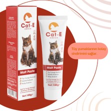 Amica Cat-E Malt Paste Tüy Yumağı Önlemeyi Destekleyen Malt Macunu