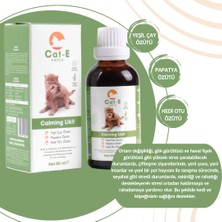 Amica Cat-E Calming Damla Kedi ve Köpekler İçin Gevşemeyi ve Rahatlamayı Destekleyen Damla