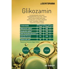 Dr. Phytopharma Dr.  Glukozamin, Kondroitin, Msm, Hyaluronik Asit ve Akgünlük Ekstresi Içeren 60TABLET Takviye Edici Gıda