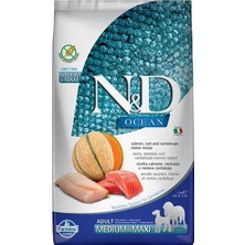 N&d Ocean Somon ve Morina Balıklı Yetişkin Köpek Maması 2.5 kg
