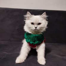 Lady Fify Kedi Köpek Için Noel Babalı Yılbaşı Kazağı