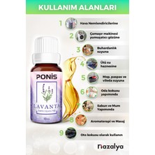 Hava Nemlendiriciler Için Uçucu Oda Koku Yağı Esansiyeli Lavanta 10 Ml.