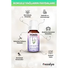 Hava Nemlendiriciler Için Uçucu Oda Koku Yağı Esansiyeli Lavanta 10 Ml.