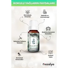 Hava Nemlendiriciler Için Uçucu Oda Koku Yağı Esansiyeli Okaliptus 10 Ml.