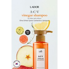 Saç Derisini Canlandıran ve Parlaklaştıran Sirke Özlü Şampuan Lador Acv Vinegar Shampoo 430ML