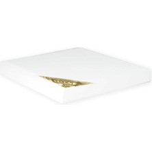 Larte Profesyonel Double Şase Tuval 35x50 cm