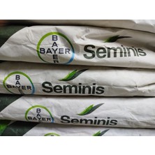 Seminis Ribera Oturak Taze Fasülye Tohumu 1 kg