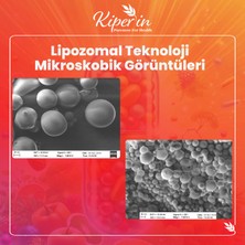 Kiperin Lipozomal Multivitamin 13 Vitamin & 6 Mineral Cilt - Saç - Tırnak & Enerji | Akıllı Gıda Takviyesi