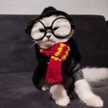 Lady Fify Kedi Köpek için Harry Potter Kostümü (Cüppe, Kazak, Kaşkol, Gözlük Takım)