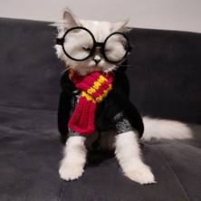 Lady Fify Kedi Köpek için Harry Potter Kostümü (Cüppe, Kazak, Kaşkol, Gözlük Takım)