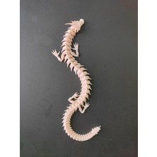 3d İlara 3D Dragon Modeli