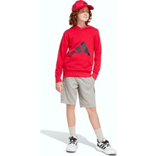 Adidas Sportswear JE1389 Essentials Hoodie Kids