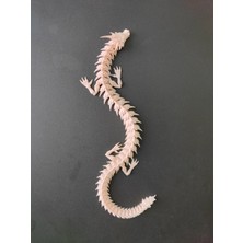 3D Dragon Modeli