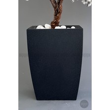 Biçiçek Bonzai Gövdeli Beyaz Sakura Ağacı 100 cm Dış Mekana Uygun