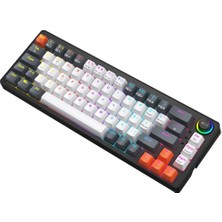 Blueforce Orbiter Rgb Mekanik Gaming Oyuncu Klavyesi Red Switch Q Tr