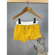 Miny Kids Sarı Çizgili Boxer