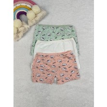 Miny Kids Sevimli Kedicik Desenli 3lü Boxer Set