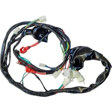 Kuba Cup Ege Elektrik Tesisatı