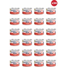 Gimcat Shinycat Jelly (Jöle Içinde) Somon Balıklı Kedi Konservesi 70GR x 24 Adet
