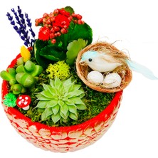 Çiçek Seli Bird Nest Kalanchoe Sukulent Tasarımı & Beton Kırmızı Saksıda Canlı İç Mekan Bitkileri Çiçek Hediye
