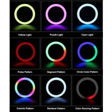 14 Inç (36MJ) Rgb Çok Renkli LED Make Up Selfie Işığı 210 cm Tripot Selfie Çubuğu Tiktok Işığı Rgb