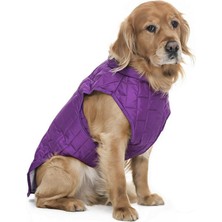 Petza Orta ve Büyük Irk Köpek Mont - Kylo