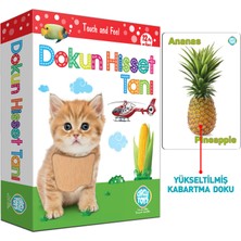 Circle Toys Dokun Hisset Tanı Kartları