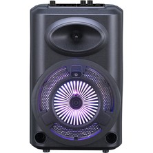 Zore GD-903 Dijital LED Göstergeli Fm Radyolu Mikrofonlu Rgb Tws 8 Inç Stereo Bass Kablosuz Karaoke