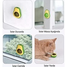 Busstier Avokado Kedi Nanesi Kedi Otu Topu Kedi Oyuncağı Yapışkanlı Catnip