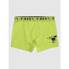 Civil Boys Erkek Çocuk 3'lü Boxer Set 2-10 Yaş  Yeşil