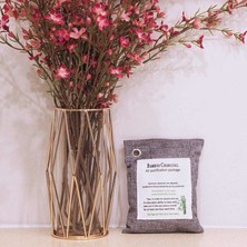 Zhuxi Shop B Aktive Bambu Kömür Çanta Koku Giderici 200GX4, Ev, Araç, Dolap, Ayakkabı Için Hava Temizleyici Çantalar (Yurt Dışından)