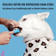 Lady Fify Kolay Kullanımlı Kedi Köpek Silikon Diş Fırcası