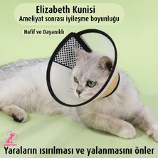 Lady Fify Kedi Köpek Için Ameliyat Sonrası Iyileşme Boyunluğu (Elizabeth Konisi)