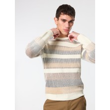 Sseinse Bisiklet Yaka Slim Fit Ekru Erkek Kazak MI2878SS