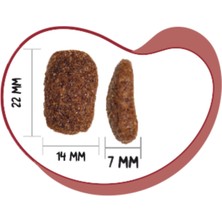 Ownat 4 kg Tavuklu Classic Adult Köpek Maması