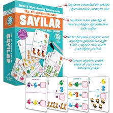 Circle Toys Yaz Sil Aktivite Kartları Flash Cards - Sayılar