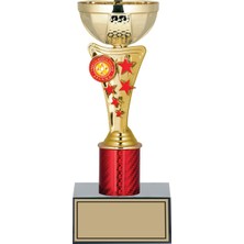 Odak Kişiye Özel Başarı Kupası-Futbol Kupası-Tören Kupası-Okul Kupası-Birincilik Kupası-Şampiyonluk Kupası-Turnuva Kupası Ödül Kupası S033 24  cm