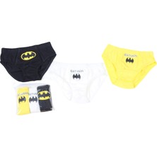Batman Erkek Çocuk 3'lü Slip BM22466