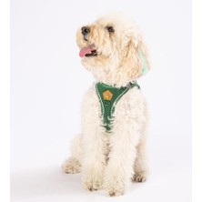 Pawstar Air-Mesh Pine Green Köpek Göğüs Tasması