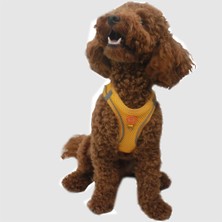 Pawstar Air-Mesh Gold Köpek Göğüs Tasması