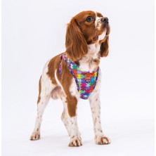 Pawstar Air-Mesh Puzzle Köpek Göğüs Tasması