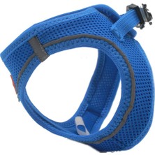 Pawstar Air-Mesh Royal Blue Köpek Göğüs Tasması