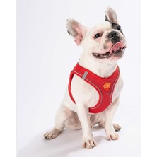 Pawstar Air-Mesh Red Köpek Göğüs Tasması