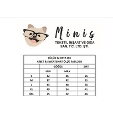 Miniş Pet Butik Kırmızı Fiyonk Detaylı Tütülü Kedi Köpek Elbisesi