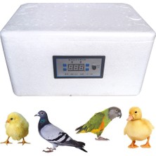 Huoxun Shop A 20 Adet Yumurta Stili Için Akıllı Bionik Yumurta Kuluçka Makinesi Brooder Kuş Bıldırcın Tavuk Civciv Kuluçka Makinesi Kümes Hatcher Otomatik Çiftlik Kuluçka Araçları (Yurt Dışından)