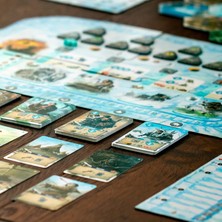 Da Vinci Board Game Endless Winter Paleoamericans Kutu Oyunu (Ingilizce)