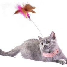 Paticimiss Kedi Boyun Oltası
