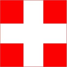 Tezzgelsin Isviçre Gönder Bayrağı  100X150 Cm.