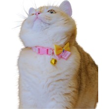 Hubjua Royal Kedi Köpek Tasması Ayarlanabilir Fiyonk Detaylı Lüx Pet Aksesuar